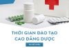 Thời gian đào tạo Cao Đẳng Dược Sài Gòn có lâu không?Thời gian đào tạo Cao Đẳng Dược Sài Gòn có lâu không?